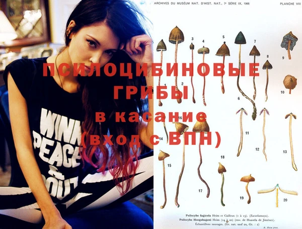 гашиш Аркадак