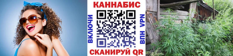 наркошоп Суворов hydra онион Марихуана сатива